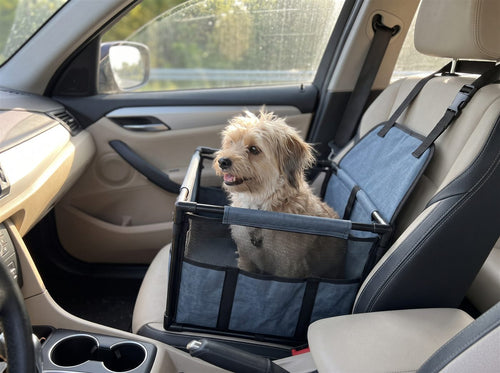Silla de carro para perros pequeños