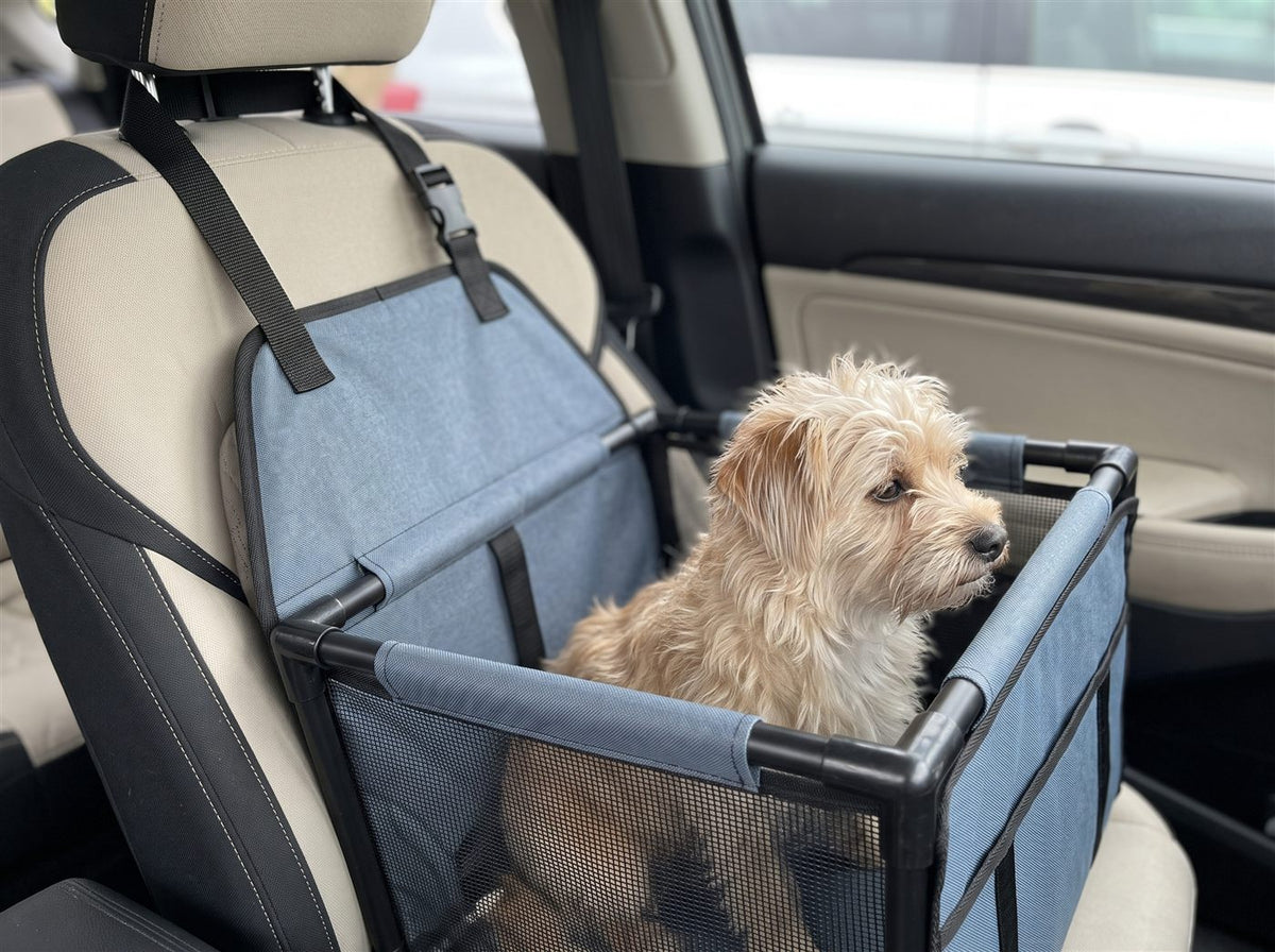 Silla de carro para perros pequeños