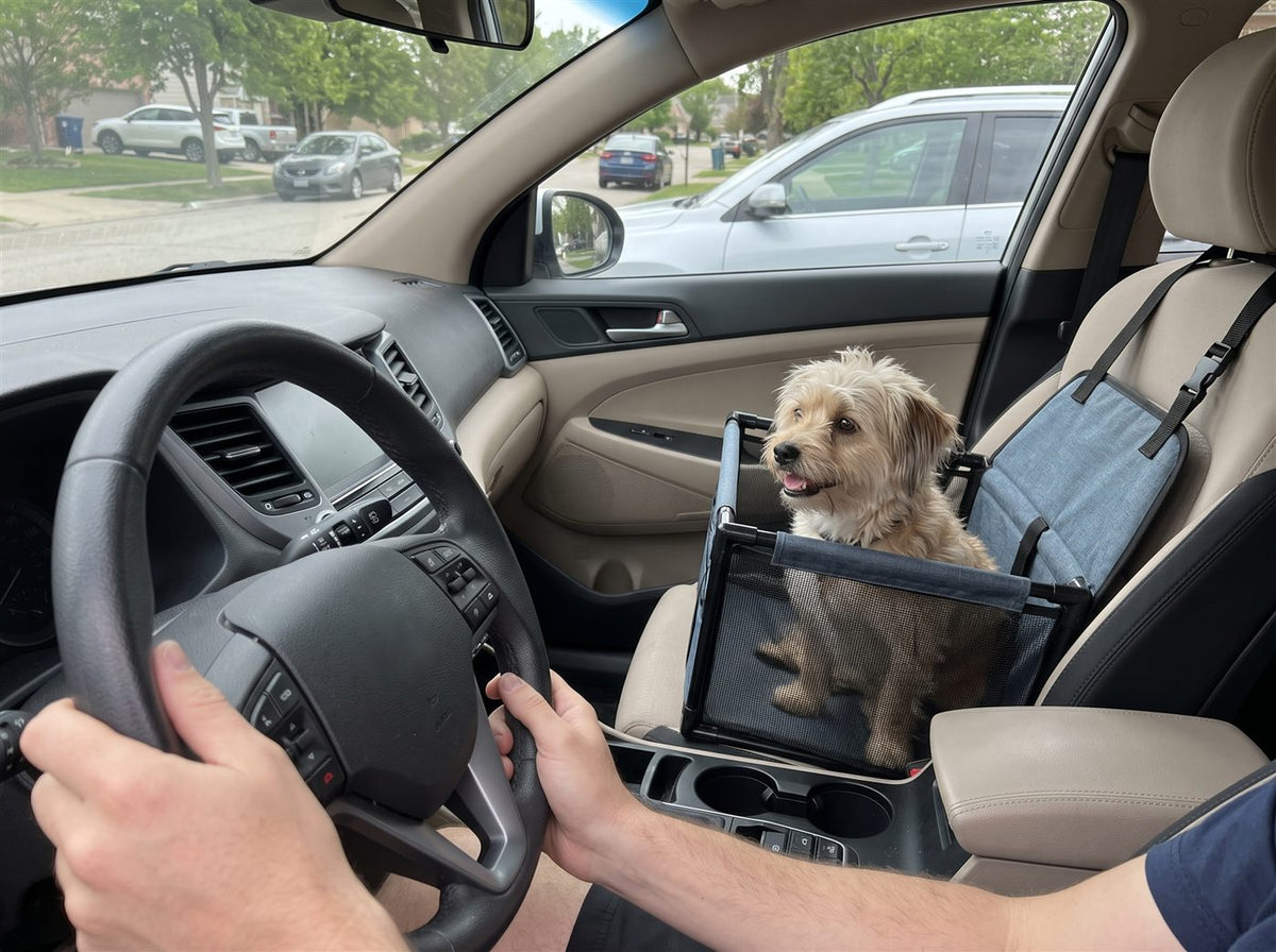 Silla de carro para perros pequeños
